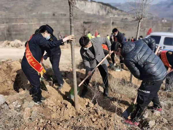 植樹(shù)添新綠，不負(fù)好春光！山東三箭集團(tuán)開(kāi)展義務(wù)植樹(shù)活動(dòng)